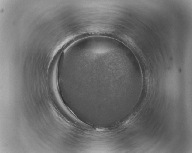 X0000056330488200509092332