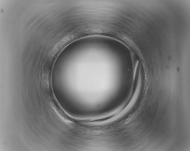 X0000056330489200509092332