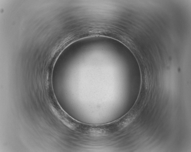 X0000056330490200509092332