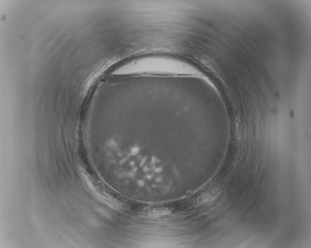 X0000056330491200509092332