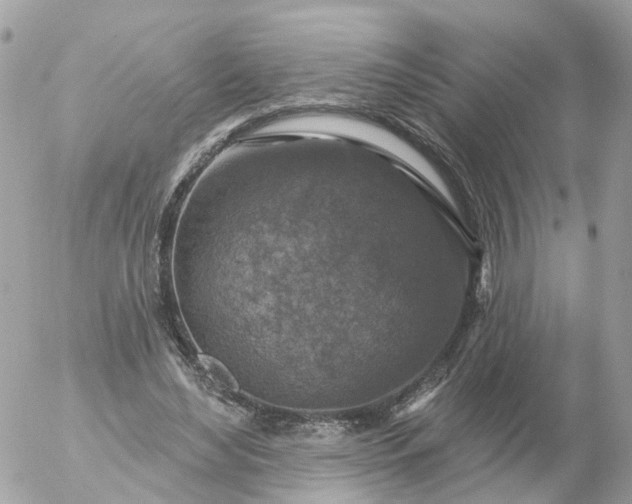 X0000056330492200509092332