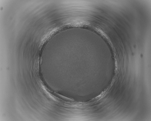 X0000056330493200509092332