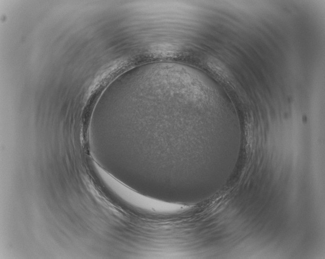 X0000056330494200509092332