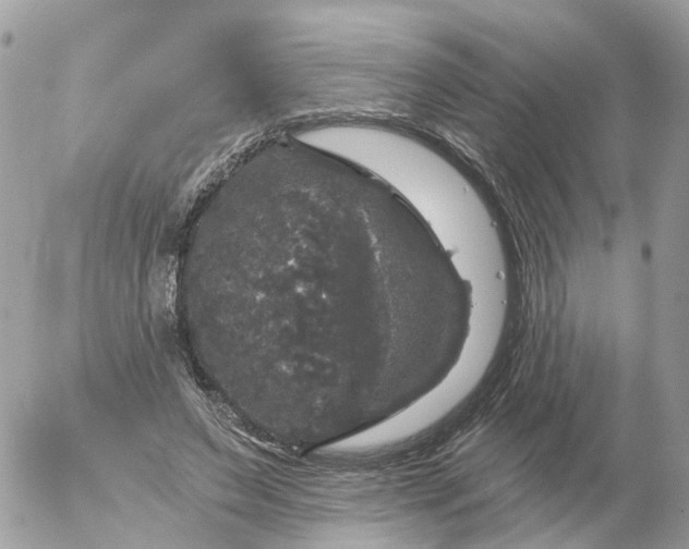 X0000056330495200509092332