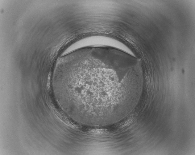 X0000056330499200509092332