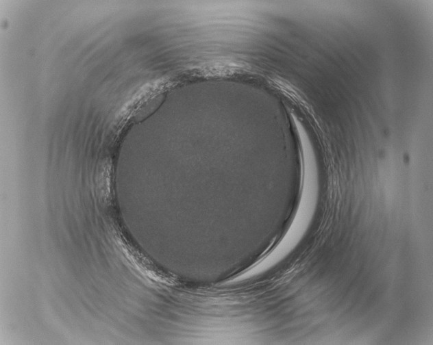 X0000056330501200509092332