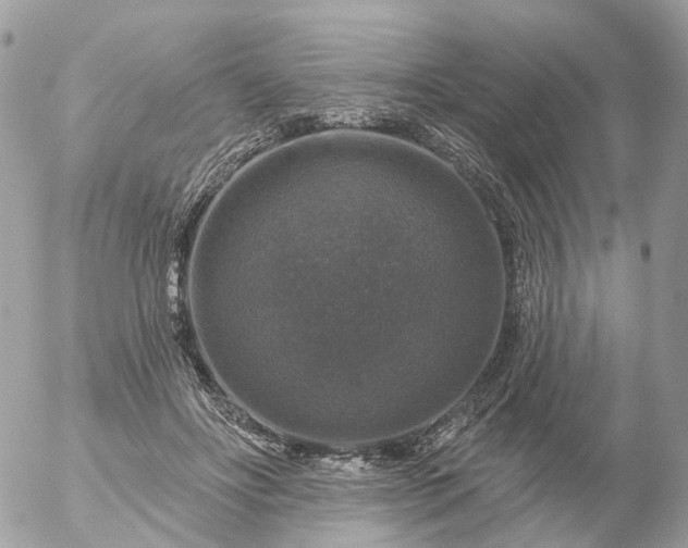 X0000056330502200509092332