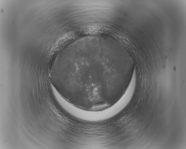 X0000056330503200509092332