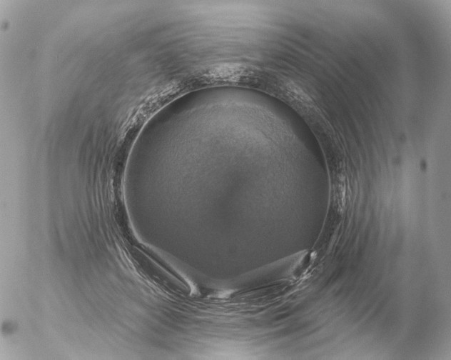 X0000056330504200509092332