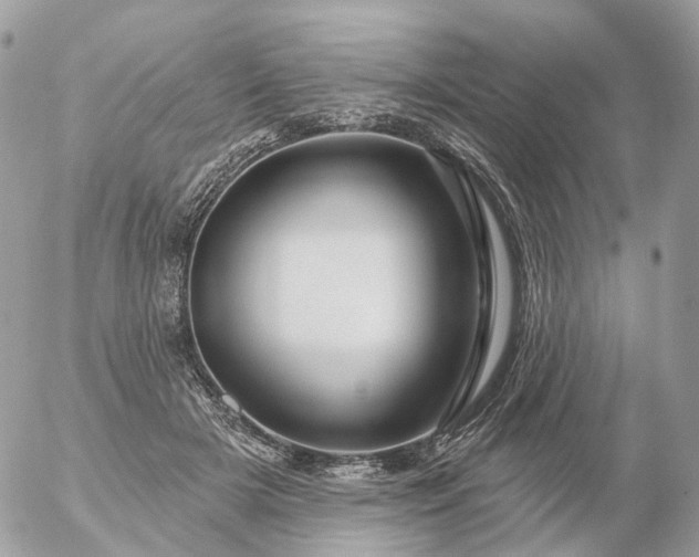 X0000056330505200509092332