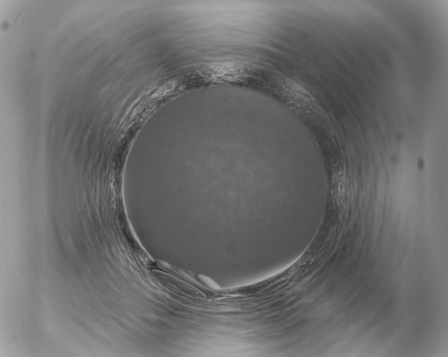 X0000056330506200509092332