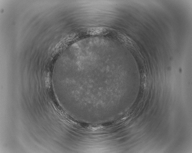 X0000056330510200509092332