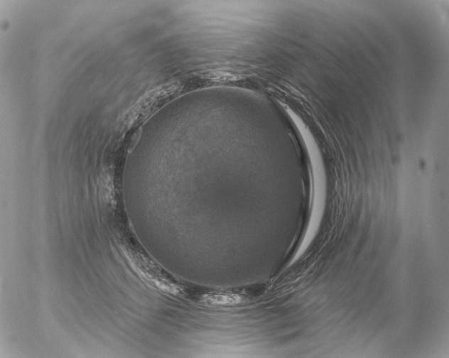 X0000056330512200509092332