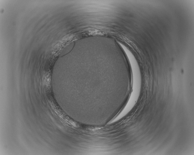 X0000056330513200509092331