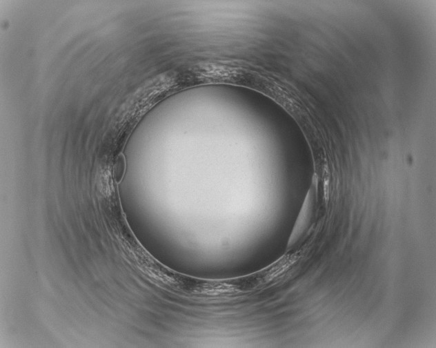 X0000056330514200509092331