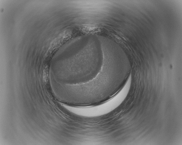 X0000056330515200509092331