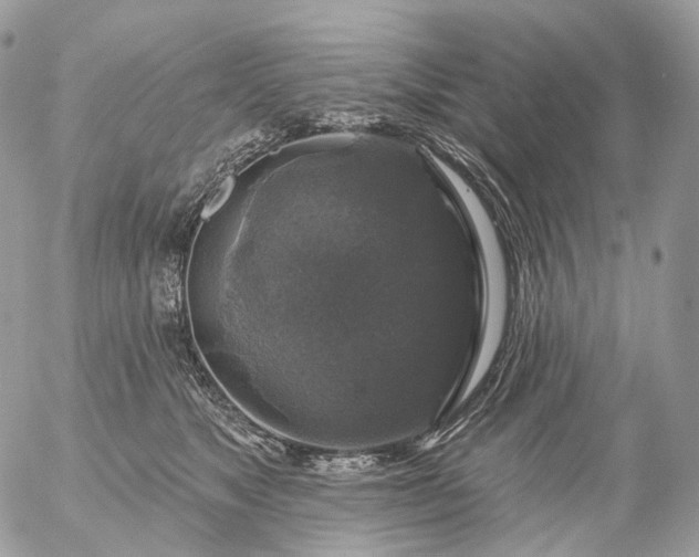 X0000056330517200509092331