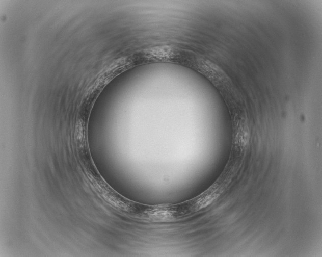 X0000056330518200509092331