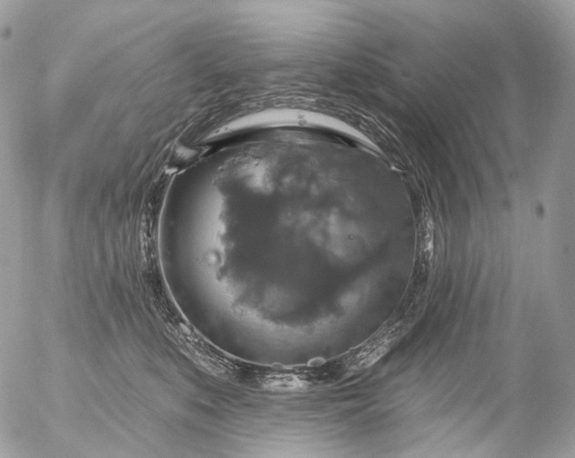 X0000056330519200509092331