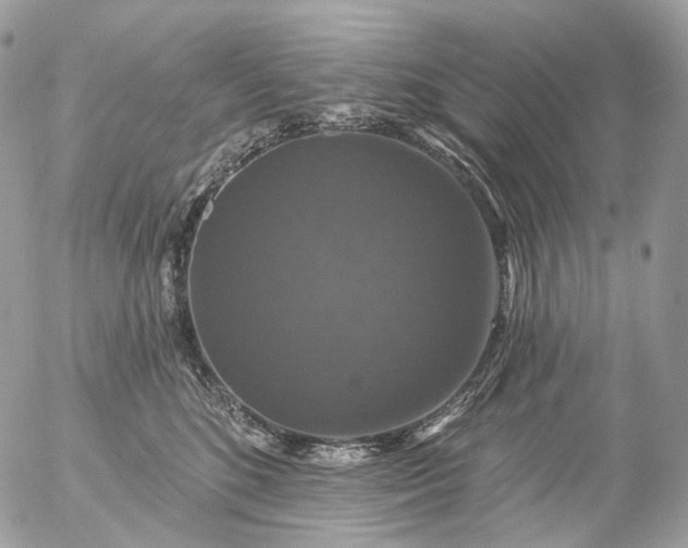 X0000056330520200509092331