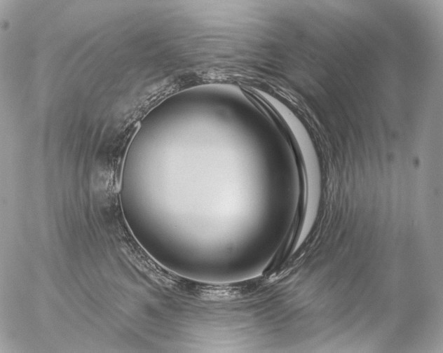 X0000056330521200509092331