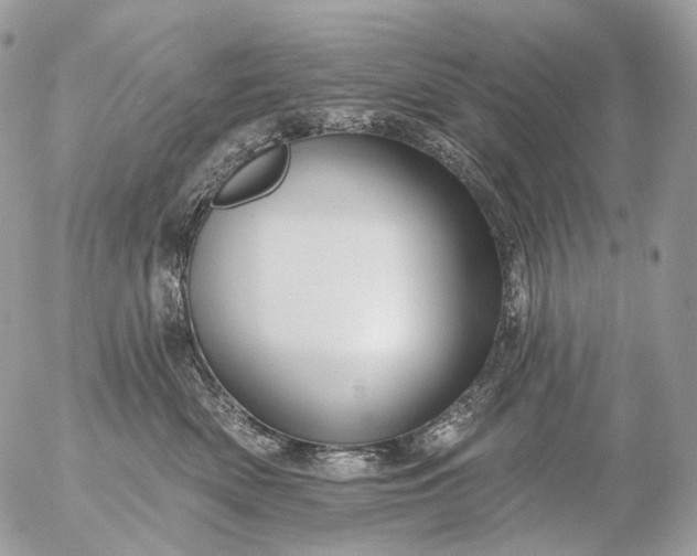 X0000056330522200509092331