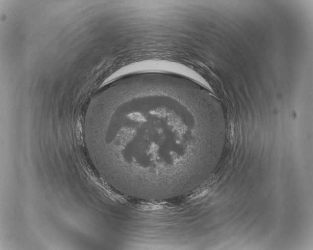 X0000056330523200509092331