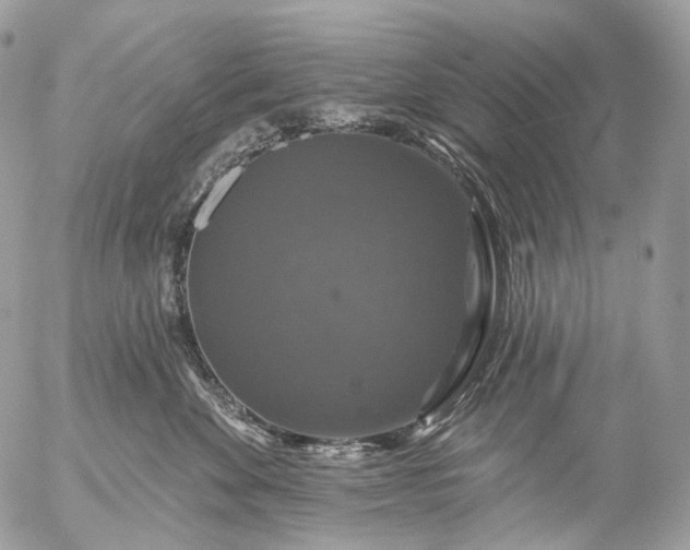 X0000056330524200509092331