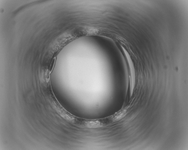 X0000056330525200509092331