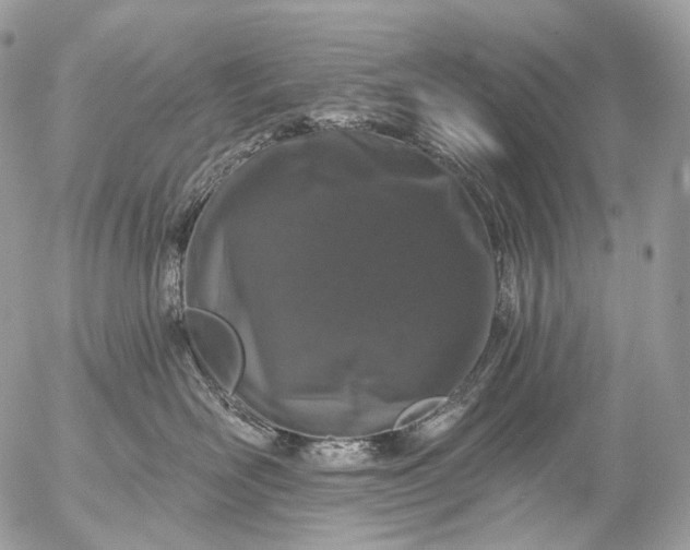 X0000056330526200509092331