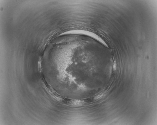 X0000056330527200509092331