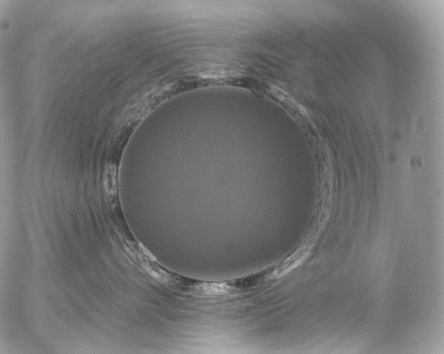 X0000056330528200509092331