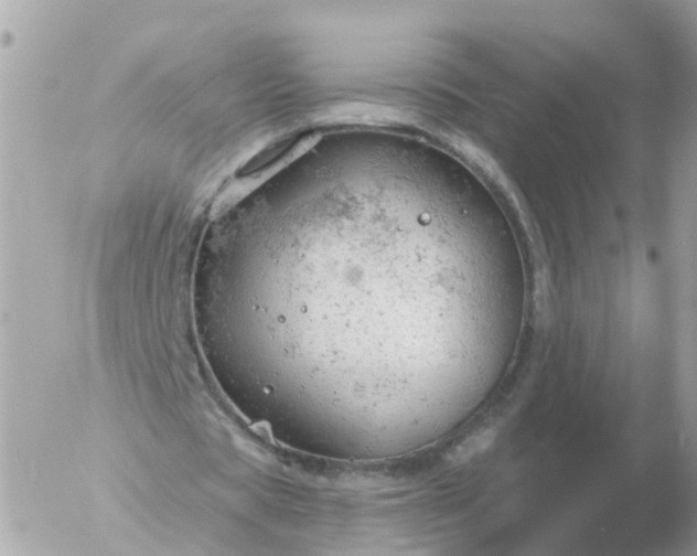 X0000056330529200509092330