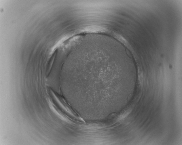 X0000056330530200509092330