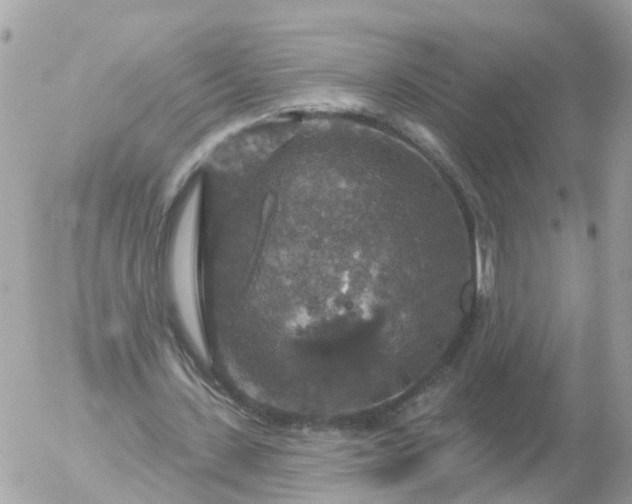 X0000056330531200509092331