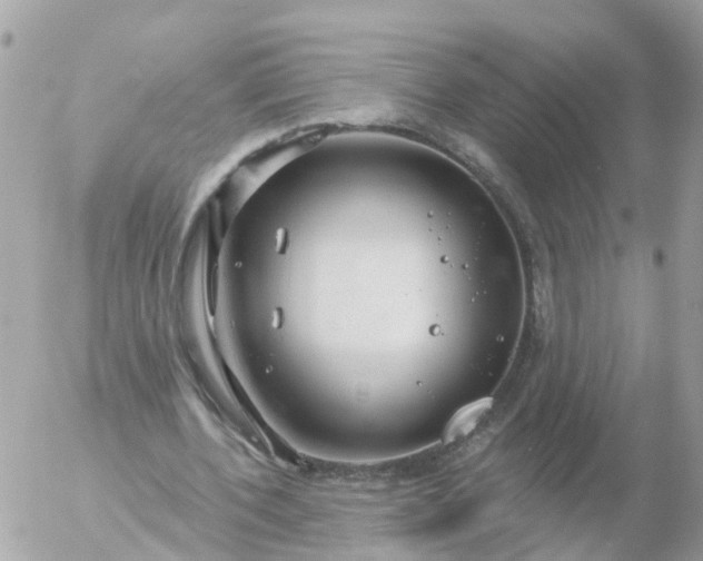 X0000056330532200509092331