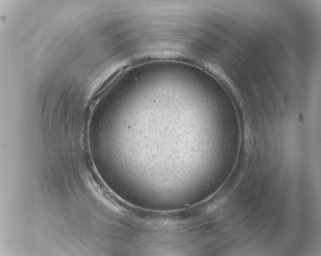 X0000056330533200509092331