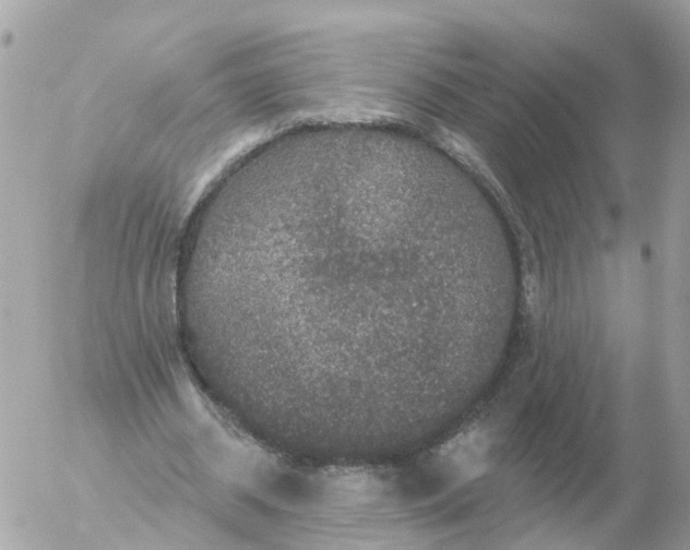 X0000056330534200509092331