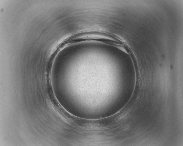 X0000056330535200509092331