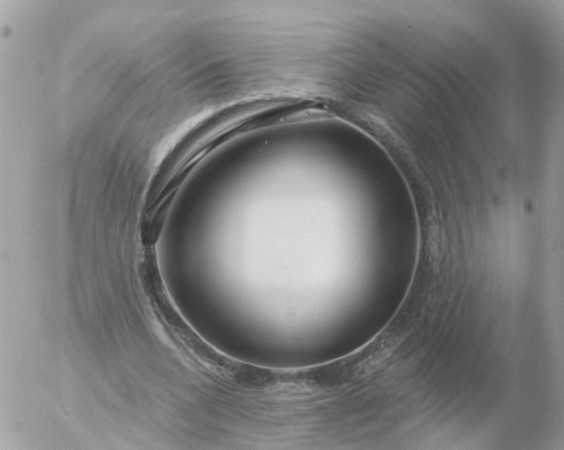 X0000056330536200509092331