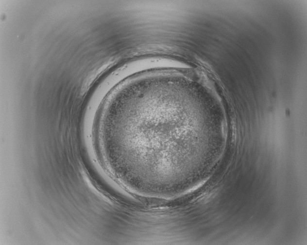 X0000056330538200509092331