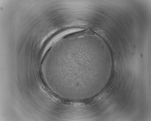 X0000056330539200509092331