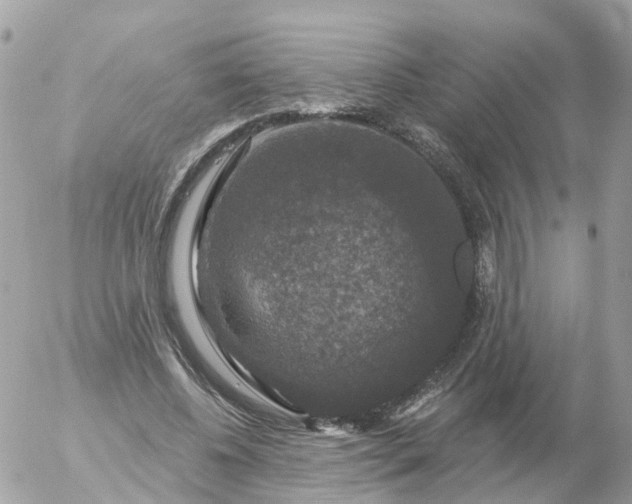 X0000056330540200509092331