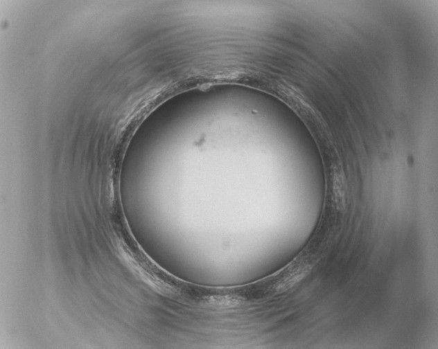 X0000056330541200509092331