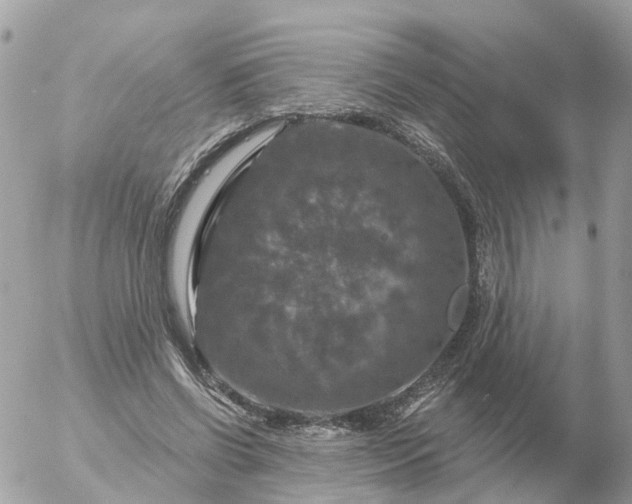 X0000056330542200509092331