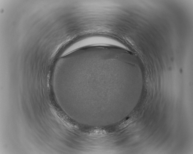 X0000056330543200509092331