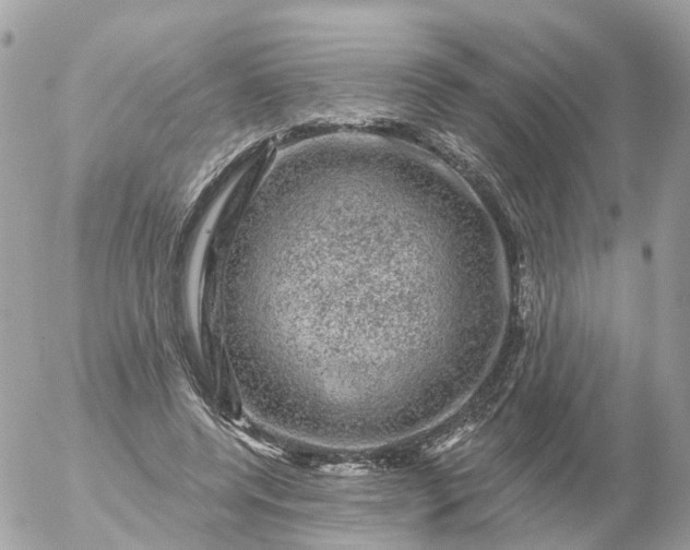 X0000056330544200509092331