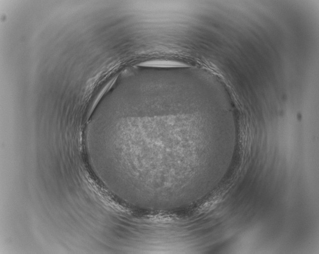 X0000056330545200509092331