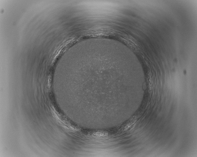 X0000056330546200509092331