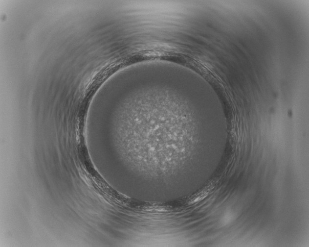 X0000056330547200509092331